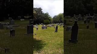 East Elfers Cemetery in Port Richey Florida [upl. by Rhianna]