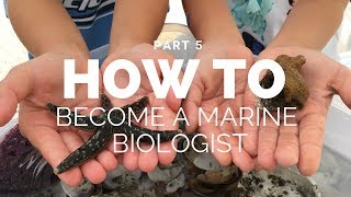 How to become a marine biologist  Part 5 [upl. by Nodnar]