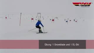 Trainingsübungen Slalom [upl. by Lymann242]