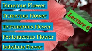 Dimerous Trimerous Tetramerous Pentamerous And Indefinite Flower Lecture 6 In HindiUrdu [upl. by Yllaw]