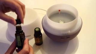 How to use a diffuser for your Essential Oils [upl. by Elayor]