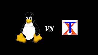 The Linux Virtual Terminal vs Xterm [upl. by Tneciv]