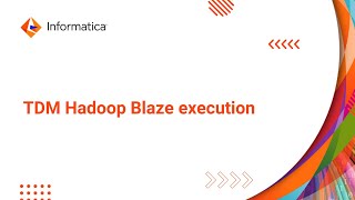 TDM Hadoop Blaze execution [upl. by Nywles]