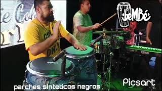 sonido parches beMbé congas no amplificadas sonido natural de los parches titi de serena 🇨🇱 👐 [upl. by Iegres]