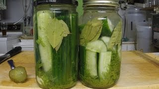 Craigs Kitchen  Fermented Pickles [upl. by Enala]