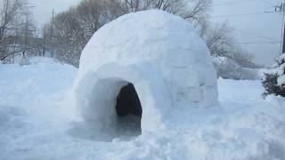 Common Questions About Igloos [upl. by Bekha703]