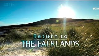 Return to the Falklands [upl. by Ynaffad730]