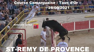 ST REMY DE PROVENCECourse CamarguaiseTaus dOr28092021 [upl. by Kung60]