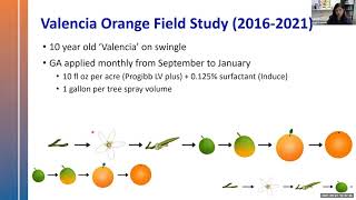 Use of Gibberellic Acid Treatments to Improve Health and Yield of HLB Diseased Trees [upl. by Neerak]