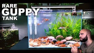 Aquascape Tutorial RARE GUPPY TANK Natural Style How To Step By Step Guide [upl. by Innek]