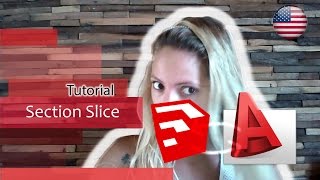 Tutorial Sections SketchUp to CAD  SketchUp to DWG ou DXF [upl. by Reckford]