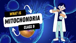 What is mitochondria Science class 9 [upl. by Bore]