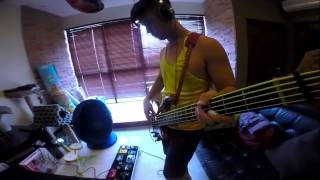 Heaven is a Place on Earth Bass Cover  Belinda Carlisle [upl. by Eirak758]