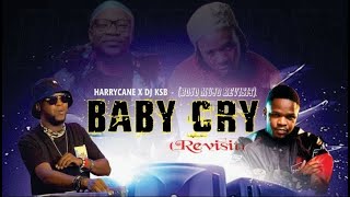 HarryCane x Dj KSB ft Bojo Mujo  Baby Cry Revisit Music Video [upl. by Adnahsam]