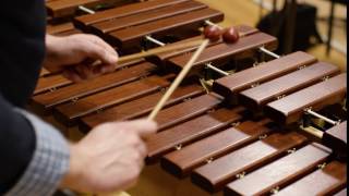 What does a xylophone sound like Scale [upl. by Padraic]