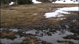 Randonnées dans les Pyrénées  Documentaire nature [upl. by Mallen338]