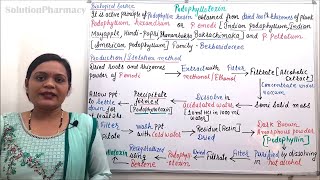 Podophyllotoxin Part 01 Industrial Production Isolation Estimation and Utilization Part 15 [upl. by Patnode652]