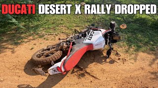 Ducati DesertX Rally From The Eyes Of A Himalayan 450 Rally Rider Trail Edition [upl. by Schroer264]