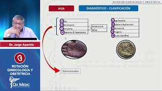 33 GUARDIA HEMORRAGIA UTERINA ANORMAL  GINECOLOGÍA Y OBSTETRICIA  internado qxmedic 2024 [upl. by Maddocks]