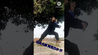 Tai Chi Kung Fu teachingkungfu chinesemartialarts kungfu [upl. by Niltyak881]