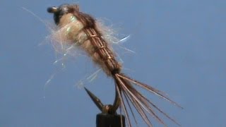 Fly Tying for Beginners Generic Mayfly Nymph with Jim Misiura [upl. by Verna]