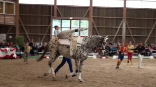 SM Turbenthal 2016  Junior Team Tösstal [upl. by Nonahs992]