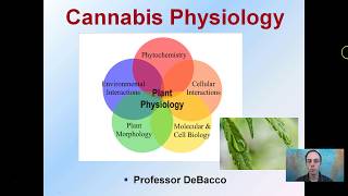 Cannabis Physiology [upl. by Retxab664]