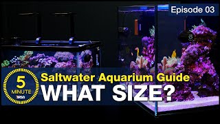 The secret to selecting the right size and shape for your first saltwater aquarium Choose wisely [upl. by Oriel]