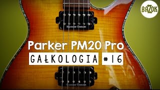 Parker PM 20 Pro Seymour Duncan SH4 SH2  Gałkologia [upl. by Ahsimat]