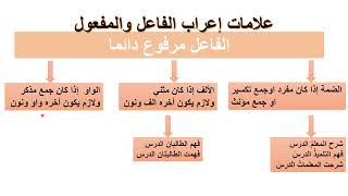 إعراب الفاعل و المفعول به المثنى   نحو الصف الخامس الإبتدائي الترم الأول [upl. by Broeder536]