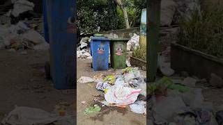 Man vs dustbin ytshorts shortvideo [upl. by Nya154]