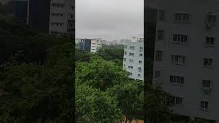 Varsham vachings sali pettings in hyd 🥶☔ youtubeshorts [upl. by Micheil]