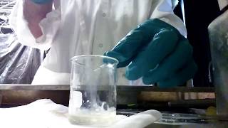 Mixing equal parts Titanium Butoxide with Nitric Acid [upl. by Euridice]