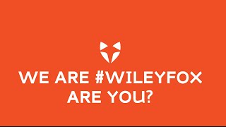 We are Wileyfox Are you [upl. by Nilekcaj]