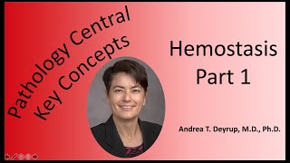 Pathology Central Key Concepts Hemostasis Part 1 [upl. by Hauck]