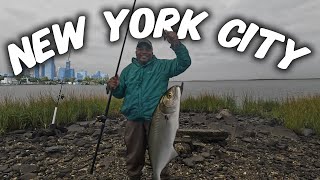 Fishing For Bluefish At A Secret Location In NYC [upl. by Sellma]