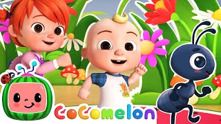 Ants Go Marching Dance  Dance Party  CoComelon Nursery Rhymes amp Kids Songs [upl. by Melisande251]