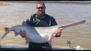 FISH4FUN SPOONBILL SNAGGING ON TRUMAN LAKE [upl. by Agathy]