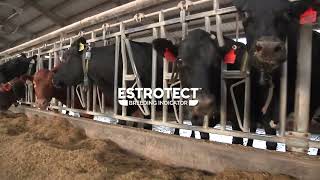 What is the ESTROTECT™ Breeding Indicator  ESTROTECT [upl. by Flinn848]