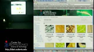 Handson Spectrophotometry with Light Sources [upl. by Eendyc]