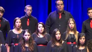 NOW WE ARE FREE Gladiator Theme  International Choir Festival quotCanta al Marquot  Calella 2015 [upl. by Elodia]