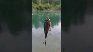 Strike Pro Fishing Lure 🎣 fishing lurefishing lure lures crazy amazing fishingvideo shorts [upl. by Yregerg]