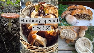 Houbový speciál vlog č35 [upl. by Deering902]