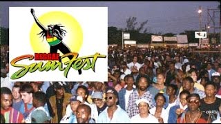 Reggae SumFest 95 live from Montego Bay Jamaica and Rasjohnmoncom [upl. by Ahsienar]