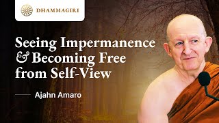 Ajahn Amaro Seeing Impermanence Aniccā amp becoming free from selfview  The Buddhas teaching [upl. by Eellac]