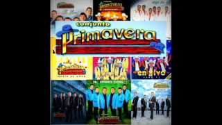 Conjunto primavera MIX [upl. by Berners832]