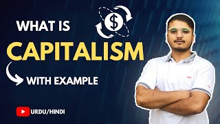 What is Capitalism Urdu  Hindi [upl. by Esinrahs]