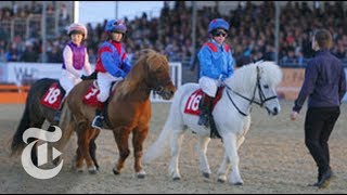 Shetland Pony Grand National  OpDocs  The New York Times [upl. by Sirad]