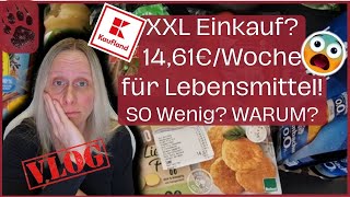 SPAREN extrem günstiger Wocheneinkauf 1461€ 😨Pfand amp ALLES da foodhaul budgetplanung vlog [upl. by Osana837]