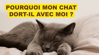 Chat  pourquoi dortil avec moi [upl. by Ozan863]